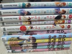 値段交渉可 絶版30年前商業誌連載前の峰倉かずや先生本人の最遊記の