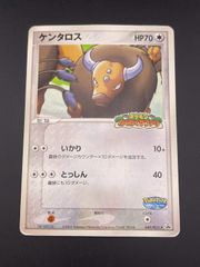未開封ポケモンカード ケンタロス わくわくサファリ プロモ | Mercari