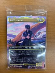 未開封 楽園チョコボ P 0483 チョコボバンドル 日本語版 JP マジックザ