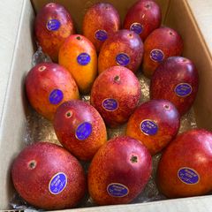 訳あり特大】宮崎完熟マンゴー 6玉約3.4kg - メルカリ