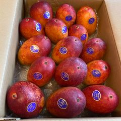 訳あり】宮崎完熟マンゴー 超特大6玉 約3.4kg 冷蔵発送 - メルカリ