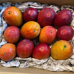 訳あり特大】宮崎完熟マンゴー 6玉約3.4kg - メルカリ