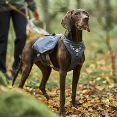 サイズS フルッタ　バックパック付きハーネス　ExpeditionPackharness エクスペディションパックのサムネイル