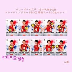 バレーボール 男子 日本代表 2024 トレカ BOX特典カード 10枚セット