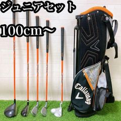 アイリッシュハープ レバーハープ 19弦 弦楽器 ケルト彫刻 ソフト