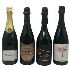 シャンパン 4本 750ml 12% 未開栓【7-1】 - メルカリ