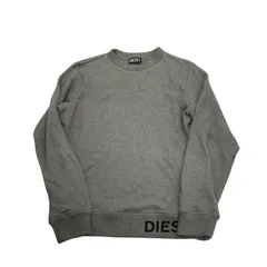 186000 現状品 DIESEL ディーゼル 長袖tシャツのサムネイル