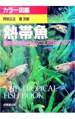 熱帯魚／森文俊のサムネイル
