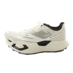 ハイク HYKE THE NORTH FACE Summit VECTIV Pro ベクティク プロ スニーカー ローカット US10 28cm 白 ホワイト 黒 ブラック NF0250 /KUのサムネイル