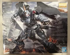 2026年最新】1/100 MG ZGMF-1017 モビルジン 「機動戦士ガンダムSEED