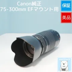 Canon純正 75-300mm EFマウント用 望遠レンズ 美品 a6425のサムネイル