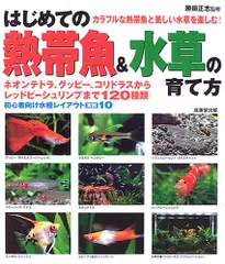 はじめての熱帯魚&水草の育て方のサムネイル