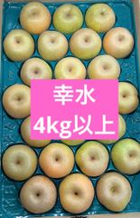 南高梅 完熟 4L超 8kg 埼玉産 メーカーオフィシャルサイト