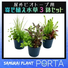 ビオトープ 向け 鉢植え 水草セット 【寄せ植え3鉢セット】のサムネイル
