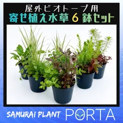 ビオトープ 向け 鉢植え 水草セット 【寄せ植え6鉢セット】のサムネイル