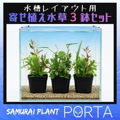 水槽 レイアウト向け 鉢植え 水草セット 【寄せ植え3鉢セット】のサムネイル