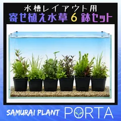水槽 レイアウト向け 鉢植え 水草セット 【寄せ植え6鉢セット】のサムネイル