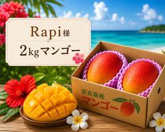 訳あり完熟マンゴー 2kg 宮古島産 - メルカリ