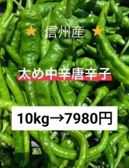 中辛唐辛子（青＋赤）太め 10kg　長野県産　信州　産地直送 中辛唐辛子（青＋赤）太め 10kg 長野県産 信州 産地直送 - メルカリ