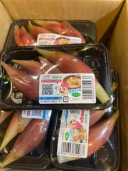高知県産茗荷10パック　訳ありのサムネイル