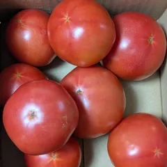 【訳アリ】大玉トマト1.8kgのサムネイル