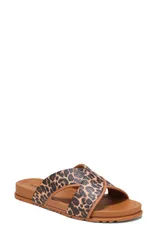 ドクター・ショール レディース シューズ サンダル Dr Schollsun Dreamer Slide Sandal Tan Black ブラックのサムネイル