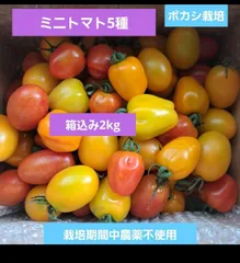 ボカシ栽培の栽培期間中農薬不使用ミニトマト5種詰め合わせのサムネイル