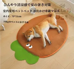 ニンジン可愛いデザイン ペット冷感藤マット 通気清涼 引っ掻きに強い 毛付きにくい 厚手スポンジクッション 滑り止め裏地 犬猫兼用 70×55cm 10kg まで対応 夏用ペットベッド ロットまとめ買い OKのサムネイル