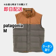 patagonia パタゴニア ダウンベスト M グレー ナイロン 無地 ブランドロゴ フードなし メンズのサムネイル