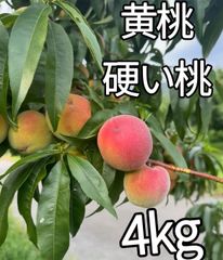 マツモト商店@『年中無休』 1 マツモト商店『年中無休』 - メルカリShops