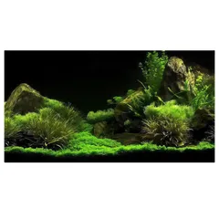 水槽 バックスクリーン 背景ステッカー 1枚入り 水槽用 背景シート 防水PVC製 3D水草デザイン 貼り付け簡単 DIY対応 アクアリウム装飾 タンク用アクセサリー 60×30cmのサムネイル