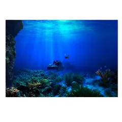 水中バックグラウンド 水中背景 水槽 バックスクリーン 水槽 バックスクリーン 海の世界模様 粘着素材 装飾 防水 耐久性 お手入れ簡単(61×30cm)のサムネイル