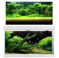 siawadeky 水槽 バックスクリーン 水槽ステッカー 水族館ポスター 2点セット PVC 3D効果 背景ステッカー 自己粘着タイプ 背景シート アクアリウム スクリーン 魚タンク 熱帯魚 海底 水草 60x30cmのサムネイル