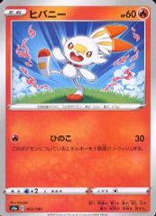 ヒバニー プレイマット ポケモンカード 韓国限定 - メルカリ