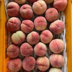 122.福島産 朝採り完熟甘い桃箱込み6kg訳あり家庭用クール便発送関東