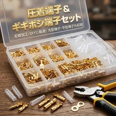 평 단자 키보시 단자 1000pcs 세트 케이스 부착 압착 단자 전장 배선 기보시 단자 남성 암 슬리브 DIY 자동차 오토바이 자동차 용품 전장 공구 수리 유지 보수