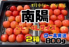 6 종반입니다 체리 남양 약 800g 2 상자