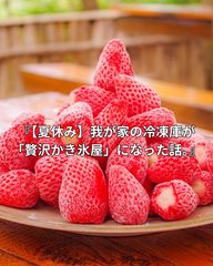 特選冷凍いちご 7キロ　クール便無料！ 特選冷凍いちご 7キロ クール便無料！ - メルカリ