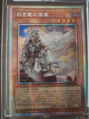 遊戯王 白き竜の落胤 シークレット 英語版 EU版 - メルカリ