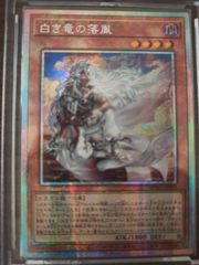 遊戯王 白き竜の落胤 シークレット 英語版 EU版 - メルカリ