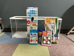 【送料込】水槽バラエティセット　メダカ飼育 金魚飼育　６０㎝スリム水槽のサムネイル