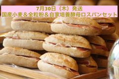 本日発送　3品出品　国産小麦&全粒粉&自家酵母　ロスパンセット③ ロスパンセット 国産小麦・全粒粉・自家製酵母③ 7/30発送 - メルカリ