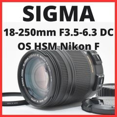 F23[8033]9 パナソニック Panasonic LUMIX DMC-FZ200 【ショット数 548