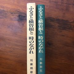 考えることを考える 上下巻セット ノージック 哲学 名著 青土社 - メルカリ