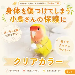 インコ エリザベスカラー(クリア)1枚・6サイズ・3色・3gのサムネイル