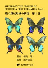 나비의 얼룩 형성 연구: Volume1 Papilio maackii aberration