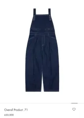 ADER ERROR アーダーエラー デニム オーバーオール XL (Overall Product 71)のサムネイル