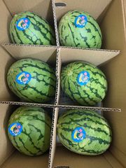 三浦スイカ 約18.5kg 5玉入り | Mercari