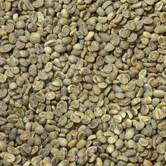 コーヒー生豆　インドネシア ガヨマウンテンG1 ラジャガヨ 800g マンデリンのサムネイル