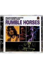 斉藤和義 LIVE TOUR 2014 RUMBLE HORSES CD - メルカリ